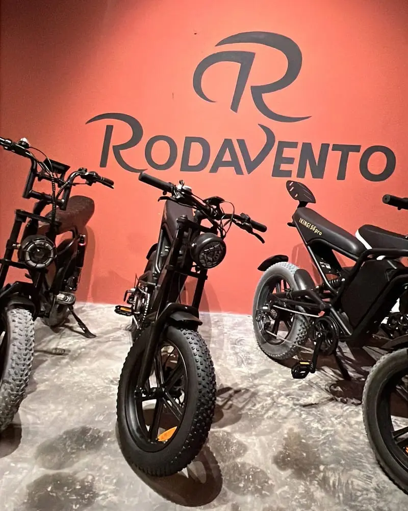 Foto do cliente: bicicletas elétricas diante do logo da Rodavento